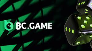 BC Game Login in Romania Your Guide to Accessing the Platform