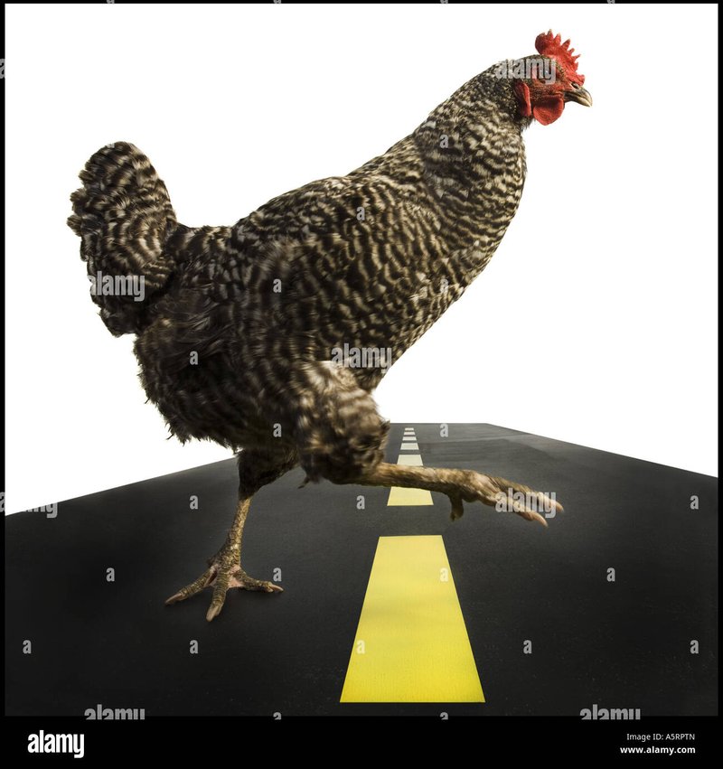 Guide to juego chicken road