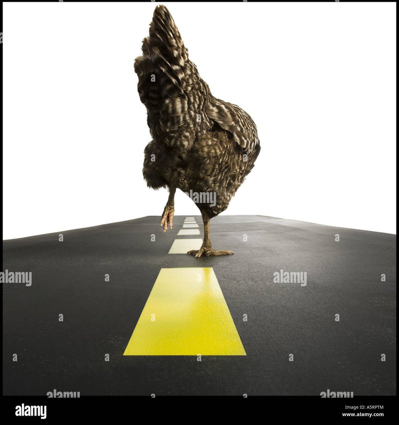 Découvrez les Atouts du Jeu de Casino Chicken Road en Ligne en France - aperçu