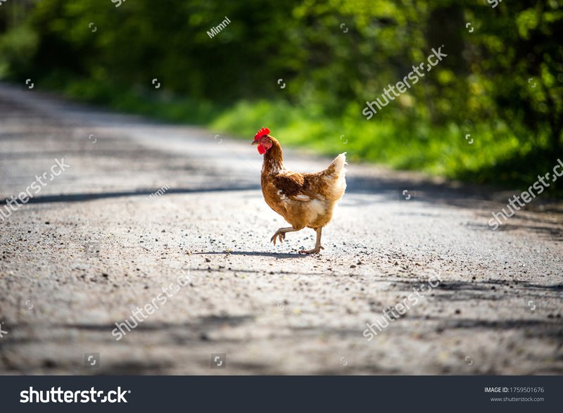 Descubre el mundo emocionante de Chicken Road Casino en línea España - overview