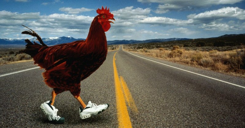 Descubre el Juego de Azar más Fútil en el Camino de la Gallina en España